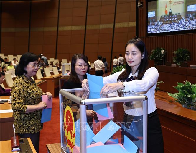 Photo: NA deputies cast their votes to elect chairpersons of NA Committees, NA Secretary General, and State Auditor General. VNA Photo