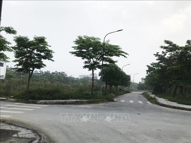 Trong ảnh: Đất ven đô tại thành phố Vinh, tỉnh Nghệ An. Ảnh: Bích Huệ - TTXVN