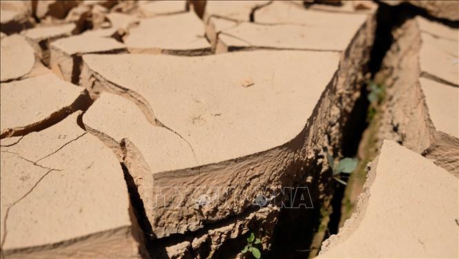 Trong ảnh: Mặt hồ Đankia nứt nẻ thành từng mảng lớn khi đang là thời gian cao điểm mùa khô năm 2021. Ảnh: Nguyễn Dũng – TTXVN 