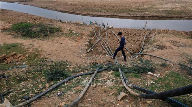 Tronga rnh: Các đường ống của máy bơm như những “vòi bạch tuộc” cố gắng hút những nguồn nước cuối cùng trong lòng hồ Đankia – Suối Vàng. Ảnh: Nguyễn Dũng – TTXVN 