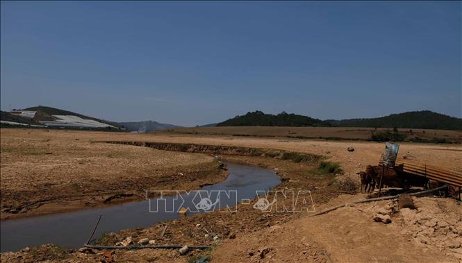 Trong ảnh: Lòng hồ Đankia ở phía thượng nguồn bị thu hẹp thành một dòng nước nhỏ trong mùa khô năm 2021. Ảnh: Nguyễn Dũng – TTXVN 
