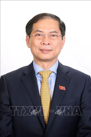 Standing Deputy Minister of Foreign Affairs Bui Thanh Son was named Minister of Foreign Affairs. VNA Photo
