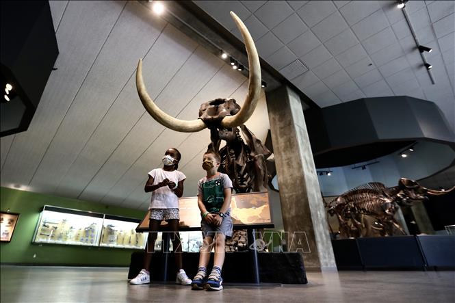 Trong ảnh: Các em nhỏ thăm quan Viện Bảo tàng La Brea Tar Pits ở Los Angeles, Mỹ ngày 8/4/2021. Ảnh: THX/TTXVN
