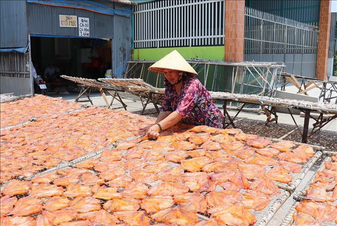 Photo: Drying fish at Vam Lang village. VNA Photo: Huu Chi