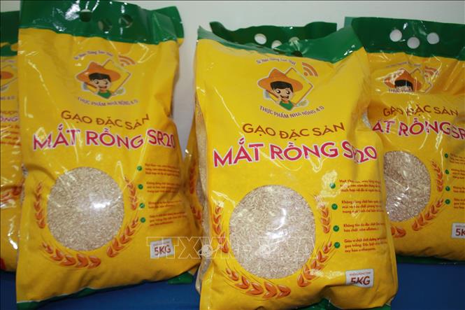 Công bố giống gạo Mắt Rồng (SR20) - Ảnh thời sự trong nước - KH-CN ...