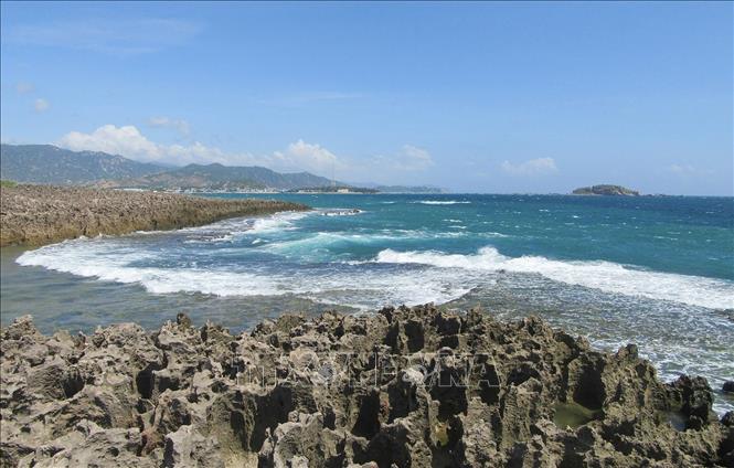 Những năm qua, Ninh Thuận đã nhanh chóng thu hút, khơi thông dòng vốn đổ vào hạ tầng du lịch lên tới 28.000 tỷ đồng. Trong ảnh: Hòn Đỏ thuộc địa phận xã biển Thanh Hải, huyện Ninh Hải (Ninh Thuận) là một quần thể san hô cổ hóa thạch do sóng biển bào mòn theo thời gian tạo thành, là điểm du lịch hoang sơ tuyệt đẹp thu hút nhiều du khách. Ảnh: Nguyễn Thành – TTXVN
