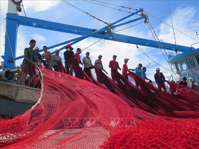 5 năm trở lại đây, Ninh Thuận đã có bước phát triển đột phá trong nhiều lĩnh vực. Tốc độ tăng GRDP bình quân đạt 10,2%/năm; GRDP bình quân đạt 60,1 triệu đồng/người, tăng 2,17 lần so với năm 2015. Trong ảnh: Ngư dân đưa lưới mới lên tàu cá tại cảng cá Mỹ Tân, xã Thanh Hải, huyện Ninh Hải, chuẩn bị cho chuyến ra khơi đánh bắt hải sản xa bờ. Ảnh: Minh Hưng-TTXVN