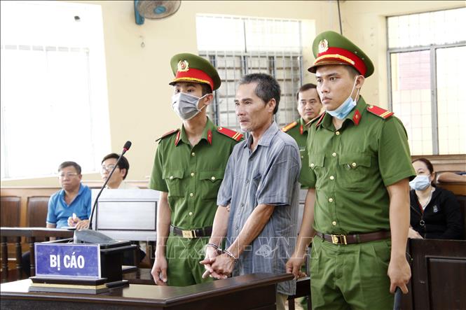 Trong ảnh: Bị cáo Lê Văn Thảo tại phiên tòa. Ảnh: Kim Há-TTXVN