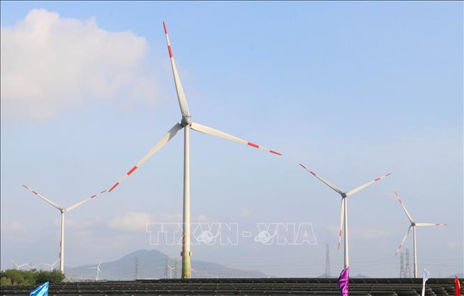 Trang trại điện gió Trung Nam được khánh thành tại huyện Thuận Bắc. Ảnh: Công Thử - TTXVN