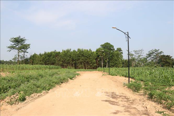 Trong ảnh: Môt khu đất ở xã Cam Thủy, huyện Cam Lộ được phân lô bán nền nhưng chưa có nhà ở nên người dân tận dụng trồng hoa màu. Ảnh: Nguyên Lý-TTXVN