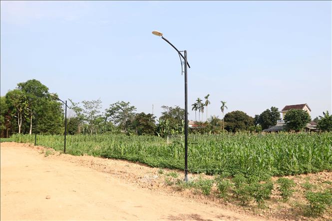 Trong ảnh: Môt khu đất ở xã Cam Thủy, huyện Cam Lộ được phân lô bán nền nhưng chưa có nhà ở nên người dân tận dụng trồng hoa màu. Ảnh: Nguyên Lý-TTXVN