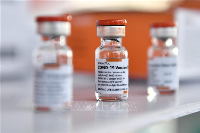 Trong ảnh: Vaccine ngừa COVID-19 của Sinovac. Ảnh: AFP/TTXVN