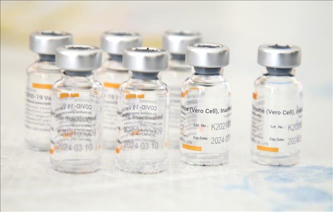 Trong ảnh: Vaccine ngừa COVID-19 của Sinovac. Ảnh: AFP/TTXVN