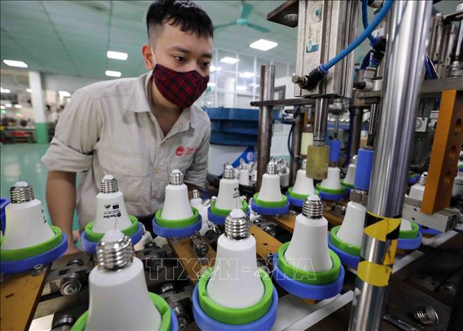 Trong ảnh: Mỗi sản phẩm của công ty đều được kiểm định chất lượng chặt chẽ trước khi đưa ra thị trường. Ảnh: Thanh Tùng – TTXVN