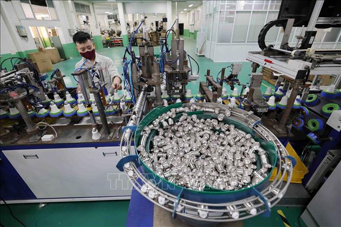 Trong ảnh: Năm 2020 doanh thu Công ty tăng trưởng 15,6%, riêng Quý 4/2020 tăng 20% so cùng kỳ. Đặc biệt bước vào quý 1/2021, doanh thu tăng 38,4%, kim ngạch xuất khẩu tăng 70%, nộp ngân sách tăng 78,1%, lợi nhuận thực hiện tăng 45,7% so với cùng kỳ. Ảnh: Thanh Tùng – TTXVN