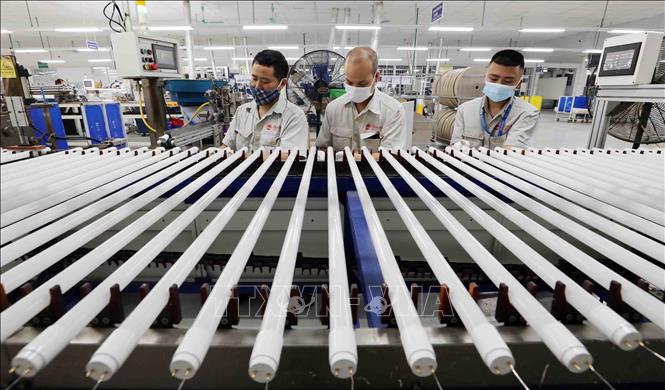 Trong ảnh: Năm 2020 doanh thu Công ty tăng trưởng 15,6%, riêng Quý 4/2020 tăng 20% so cùng kỳ. Đặc biệt bước vào quý 1/2021, doanh thu tăng 38,4%, kim ngạch xuất khẩu tăng 70%, nộp ngân sách tăng 78,1%, lợi nhuận thực hiện tăng 45,7% so với cùng kỳ. Ảnh: Thanh Tùng – TTXVN