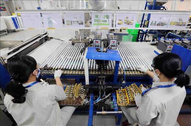 Trong ảnh: Công ty đang từng bước đầu tư cơ sở hạ tầng, nâng cấp hiện đại hoá dây chuyền, mở rộng sản xuất. Ảnh: Thanh Tùng – TTXVN