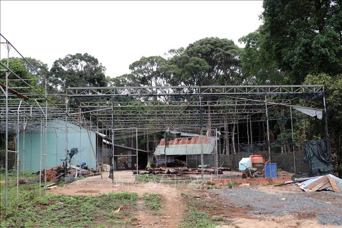 Trong ảnh: Dự án bảo tồn và phát triển các loại phong lan phục vụ du lịch sinh thái có quy mô 1ha ở trung tâm huyện Kon Plông suốt 13 năm qua dự án không được triển khai thực hiện. Ảnh: Cao Nguyên - TTXVN

