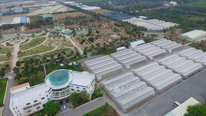 Khu Nông nghiệp công nghệ cao TP Hồ Chí Minh tại huyện Củ Chi, cách trung tâm Thành phố 44 km về phía Tây Bắc đã phát triển thành một khu kinh tế - kỹ thuật, thu hút đầu tư trong và ngoài nước, huy động các nguồn lực khoa học công nghệ cao trong sản xuất nông nghiệp. Ảnh: Mạnh Linh – TTXVN