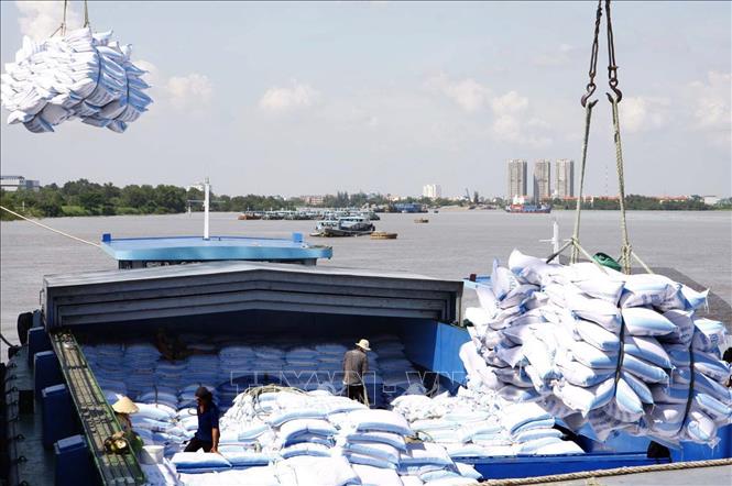 Ngành công nghiệp chế biến lương thực, thực phẩm TP Hồ Chí Minh đã đạt được những kết quả quan trọng với tốc độ tăng trưởng bình quân 5 năm qua là 8,4%/năm. Trong ảnh: Bốc xếp gạo xuất khẩu của Công ty CP Lương thực TP Hồ Chí Minh tại cảng Sài Gòn. Ảnh: Đình Huệ - TTXVN