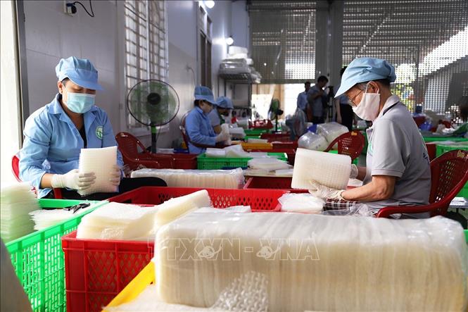 Những năm gần đây, nhiều cơ sở kinh doanh sản xuất bánh tráng tại Tây Ninh đã đầu tư máy móc, thiết bị hiện đại, để cho ra sản phẩm bánh tráng cuốn chất lượng cao, đủ tiêu chuẩn, từng bước xây dựng thương hiệu đặc sản bánh tráng Tây Ninh. Ảnh: Lê Đức Hoảnh - TTXVN