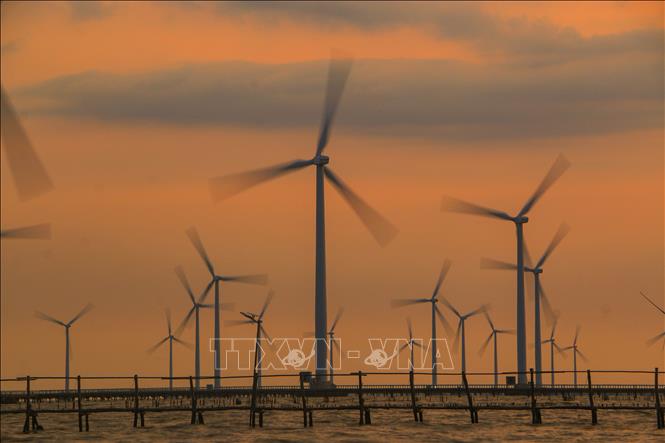  Trong ảnh: Nhà máy Điện gió Bạc Liêu (xã Vĩnh Trạch Đông, thành phố Bạc Liêu, tỉnh Bạc Liêu) có quy mô công suất gần 100 MW, gồm 62 trụ turbine đã hoạt động phát lên lưới điện Quốc gia với tổng sản lượng điện lũy kế đến nay đạt hơn 1 tỷ kWh. Ảnh: Duy Khương – TTXVN