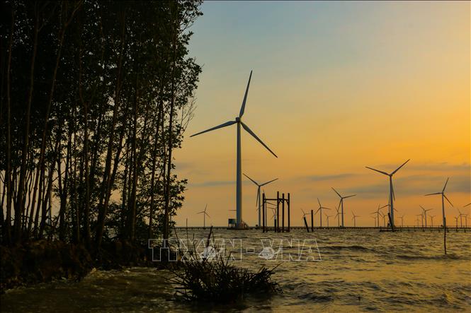 Trong ảnh: Nhà máy Điện gió Bạc Liêu (xã Vĩnh Trạch Đông, thành phố Bạc Liêu, tỉnh Bạc Liêu) có quy mô công suất gần 100 MW, gồm 62 trụ turbine đã hoạt động phát lên lưới điện Quốc gia với tổng sản lượng điện lũy kế đến nay đạt hơn 1 tỷ kWh. Ảnh: Duy Khương – TTXVN