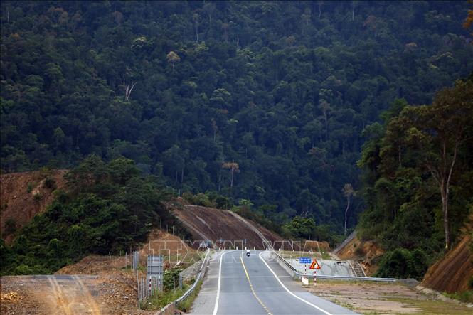 Trong ảnh: Tuyến đường có 11 km đi qua rừng quốc gia Bạch Mã (Thừa Thiên Huế). Ảnh: Huy Hùng – TTXVN