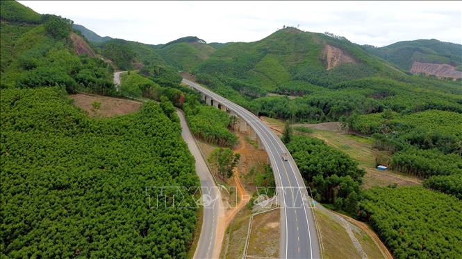 Con đường xuyên qua những tán rừng xanh ngút ngàn của vườn quốc gia Bạch Mã. Ảnh: Huy Hùng – TTXVN 