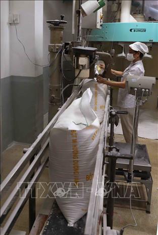 Trong ảnh: Đóng bao sản phẩm bột mì tại nhà máy của Công ty bột mì Bình Đông. Ảnh: Phạm Hậu - TTXVN