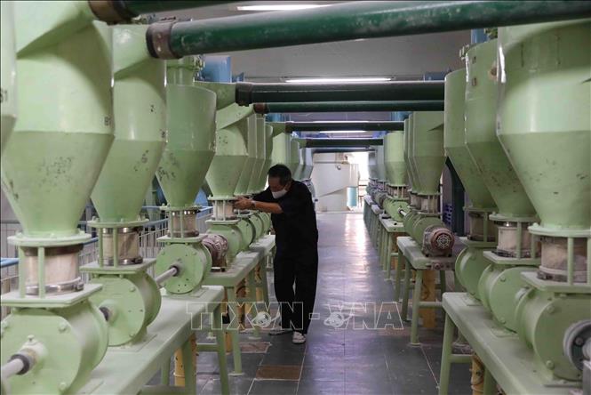 Trong ảnh: Dây chuyền chế biến bột mì công nghệ Thụy Sỹ được lắp đặt tại nhà máy của Công ty bột mì Bình Đông. Ảnh: Phạm Hậu - TTXVN