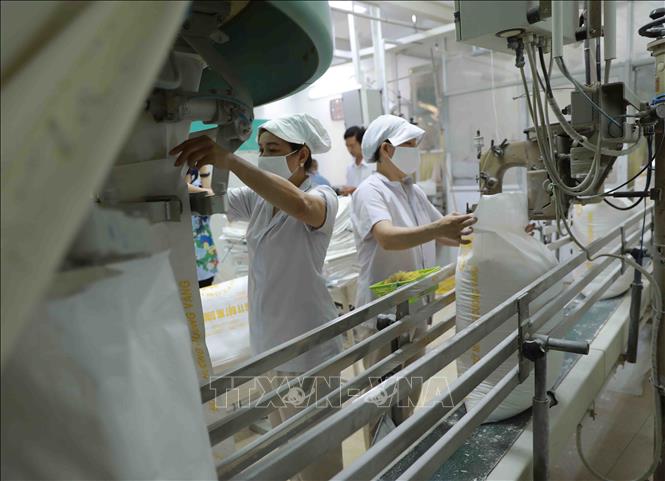 Trong ảnh: Đóng bao sản phẩm bột mì tại nhà máy của Công ty bột mì Bình Đông. Ảnh: Vũ Sinh - TTXVN
