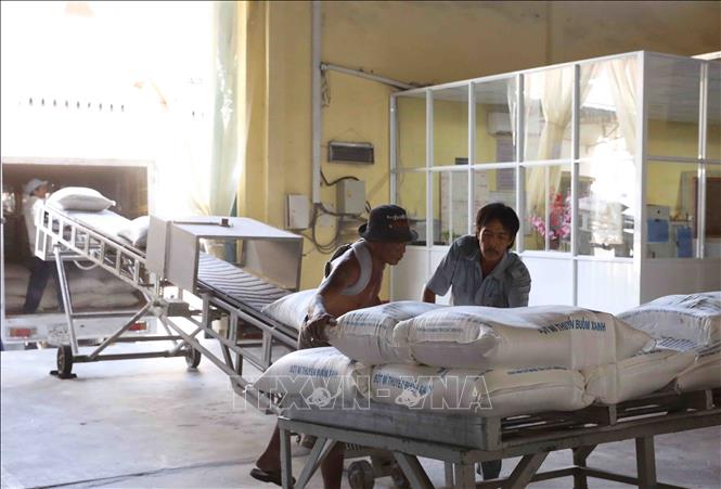 Trong ảnh: Đóng bao sản phẩm bột mì tại nhà máy của Công ty bột mì Bình Đông. Ảnh: Phạm Hậu - TTXVN