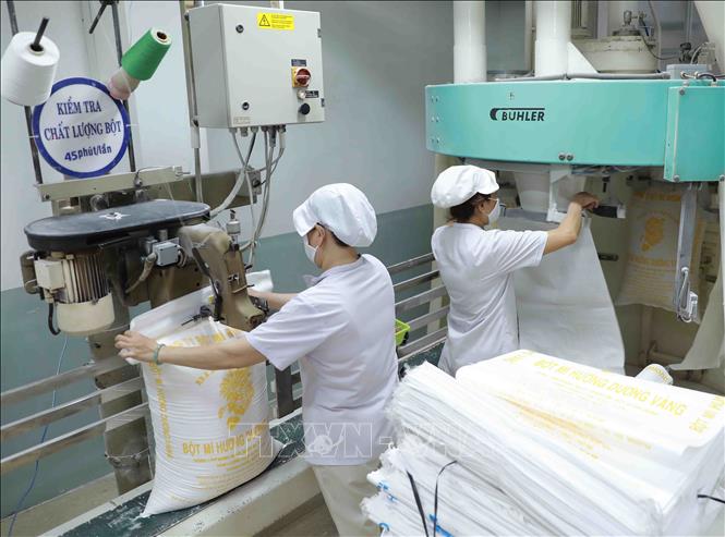 Trong ảnh: Đóng bao sản phẩm bột mì tại nhà máy của Công ty bột mì Bình Đông. Ảnh: Vũ Sinh - TTXVN