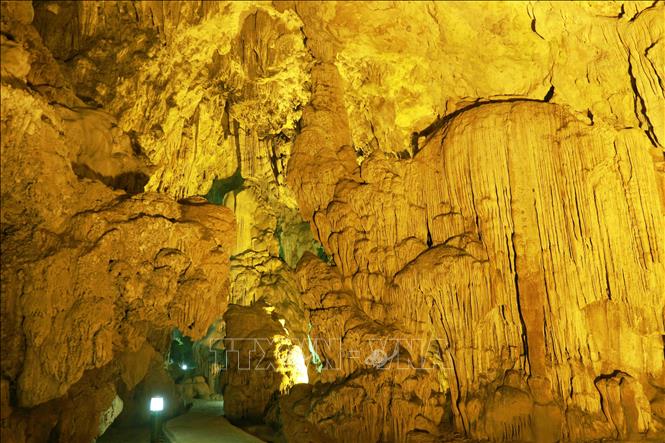 Trong ảnh: Động Ngườm Ngao có nhiều nhũ đá và măng đá với các hình dạng phong phú đa dạng, là một trong những hang động đẹp nổi tiếng tại Việt Nam. Ảnh: Vũ Sinh – TTXVN