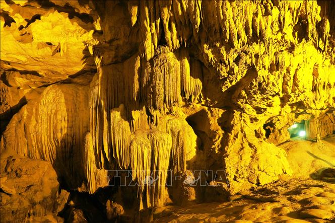 Trong ảnh: Động Ngườm Ngao có nhiều nhũ đá và măng đá với các hình dạng phong phú đa dạng, là một trong những hang động đẹp nổi tiếng tại Việt Nam. Ảnh: Vũ Sinh – TTXVN