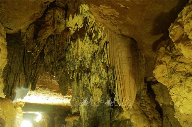 Trong ảnh: Động Ngườm Ngao có nhiều nhũ đá và măng đá với các hình dạng phong phú đa dạng, là một trong những hang động đẹp nổi tiếng tại Việt Nam. Ảnh: Vũ Sinh – TTXVN