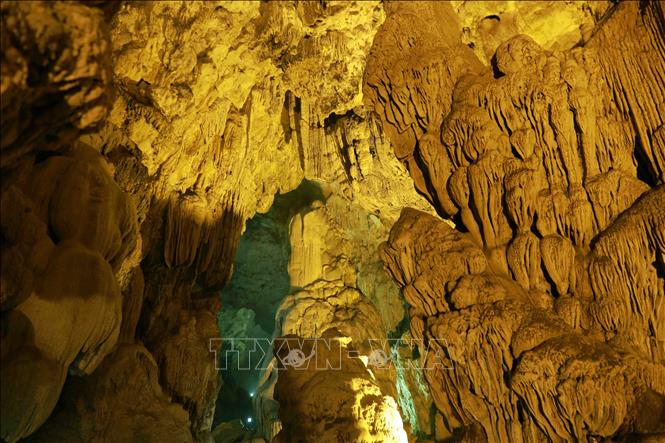 Trong ảnh: Động Ngườm Ngao có nhiều nhũ đá và măng đá với các hình dạng phong phú đa dạng, là một trong những hang động đẹp nổi tiếng tại Việt Nam. Ảnh: Vũ Sinh – TTXVN