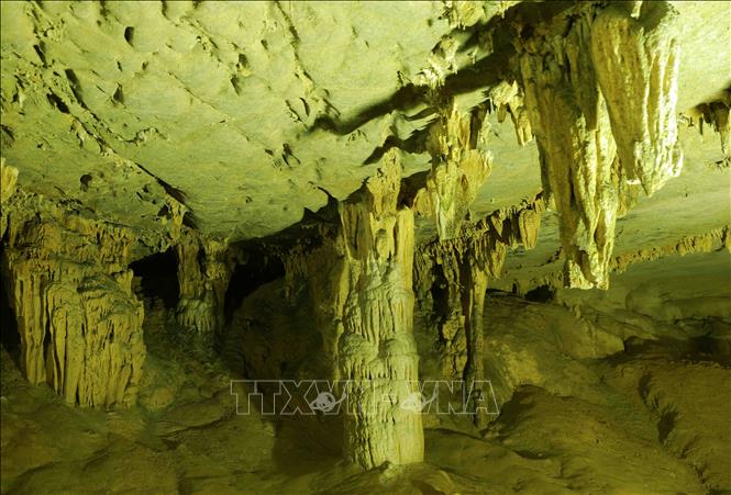 Trong ảnh: Động Ngườm Ngao có nhiều nhũ đá và măng đá với các hình dạng phong phú đa dạng, là một trong những hang động đẹp nổi tiếng tại Việt Nam. Ảnh: Vũ Sinh – TTXVN