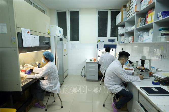 Trong ảnh: PGS.TS Lê Thị Quỳnh Mai (bên trái) làm việc tại Phòng Thí nghiệm của Viện Vệ sinh Dịch tễ Trung ương cùng các cộng sự. Ảnh: Anh Tuấn – TTXVN