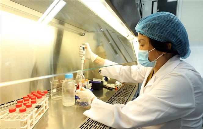 Trong ảnh: PGS.TS Lê Thị Quỳnh Mai làm việc tại Phòng Thí nghiệm của Viện Vệ sinh Dịch tễ Trung ương. Ảnh: Anh Tuấn – TTXVN