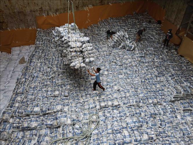 Trong ảnh: Với kim ngạch xuất khẩu đạt 3,07 tỷ USD năm 2020, gạo đã trở thành điểm sáng trong lĩnh vực xuất khẩu nông, lâm, thủy sản của cả nước. Ảnh: Vũ Sinh - TTXVN