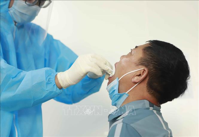 Trong ảnh: Lấy mẫu dịch hầu họng xét nghiệm COVID-19. Ảnh: Hoàng Hùng  - TTXVN