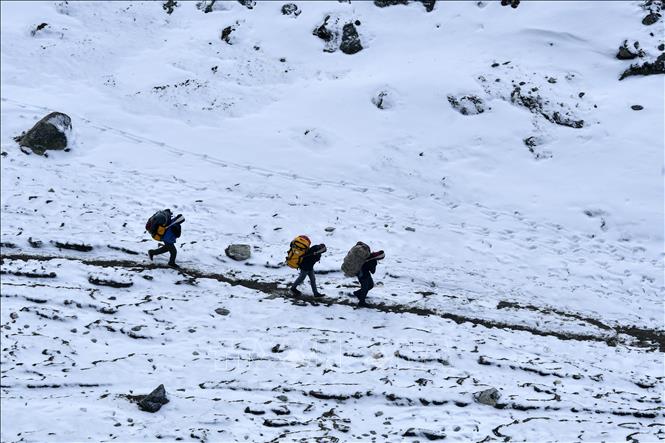 Trong ảnh: Người khuân vác chuyển hàng hoá cung cấp cho các trạm dừng nghỉ trên đỉnh Everest, Nepal ngày 30/4/2021. Ảnh: AFP/TTXVN