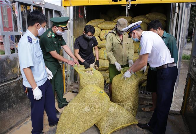 Trong ảnh: Lực lượng chức năng liên ngành tại cửa khẩu Ma Lù Thàng (Lai Châu) kiểm soát chặt chẽ sang tải hàng xuất, nhập khẩu khu vực sang tải nhằm phòng chống dịch tại khu vực cửa khẩu. Ảnh: Quý Trung – TTXVN