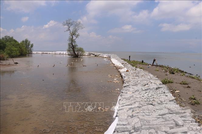 Trong ảnh: Xây dựng kè rọ đá phòng chống sạt lở đoạn bờ biển Rạch Giá - Hòn Đất (Kiên Giang). Ảnh: Lê Huy Hải - TTXVN