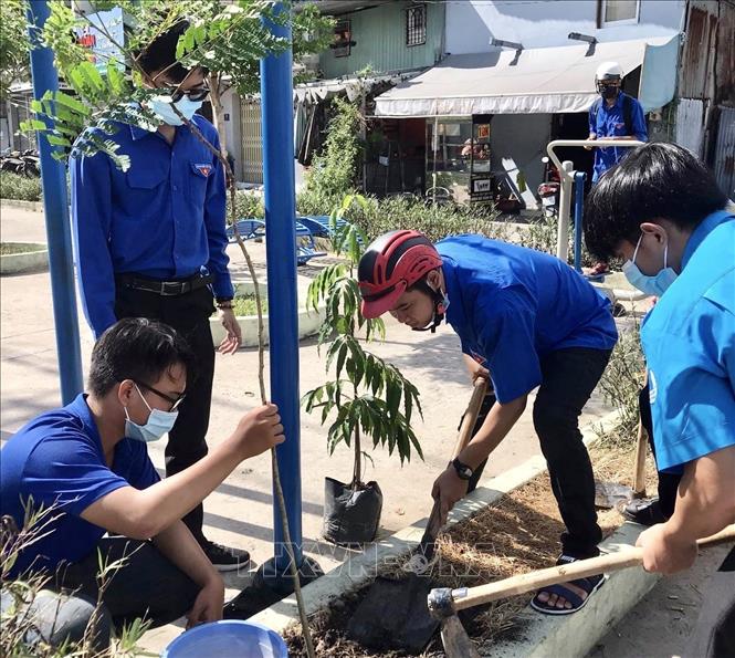 Trong ảnh: Đoàn viên thanh niên Quận đoàn Tân Phú trồng cây trên tuyến đường C2, kênh 19/5 (phường Tây Thạnh). Ảnh: Hồng Giang - TTXVN