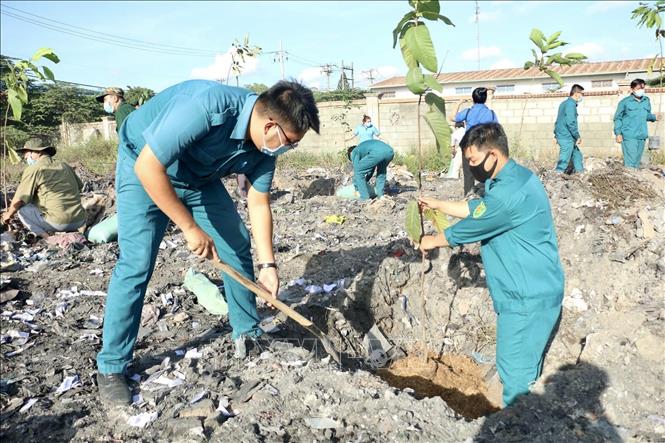 Trong ảnh: Lực lượng dân quân phường Hiệp Tân (quận Tân Phú) trồng cây trên địa bàn phường. Ảnh: Hồng Giang - TTXVN