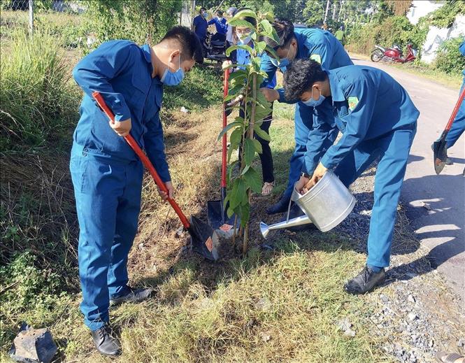Trong ảnh: Lực lượng dân quân xã Phước Vĩnh An (huyện Củ Chi) trồng cây trên tuyến đường Nguyễn Thị Phia. Ảnh: Hồng Giang - TTXVN