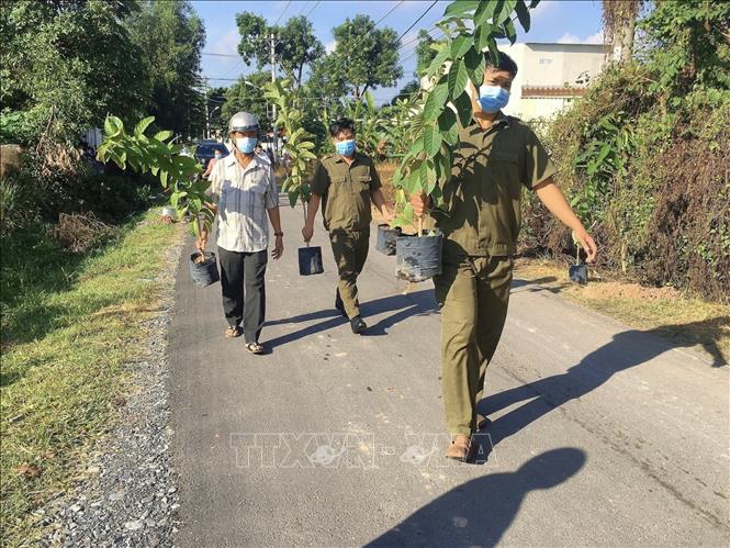 Trong ảnh: Lực lượng bảo vệ dân phố xã Phước Vĩnh An (huyện Củ Chi) tham gia hoạt động trồng cây xanh trên tuyến đường Võ Thị Trái. Ảnh: Hồng Giang - TTXVN
